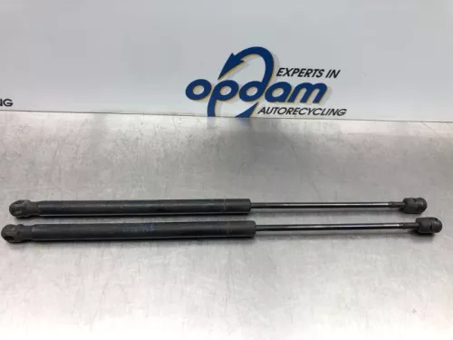 Set Gasdempers Achterklep-7360868