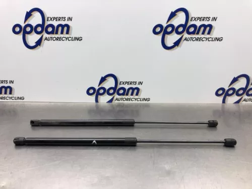 Set Gasdempers Achterklep-8211680