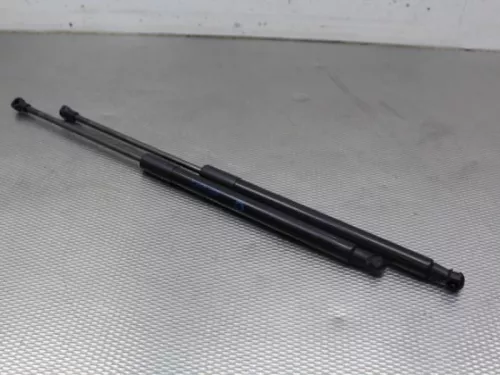 Set Gasdempers Achterklep-7872980