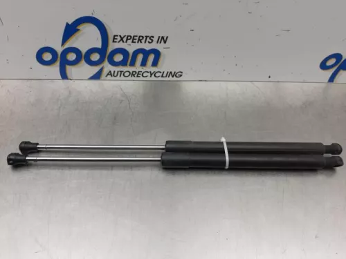 Set Gasdempers Achterklep-7544426