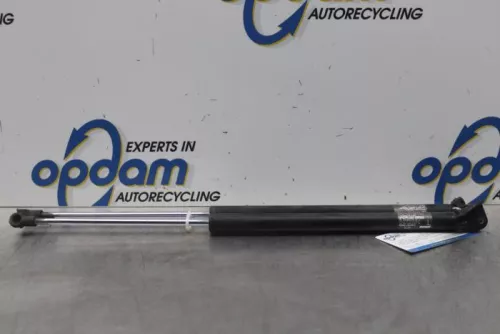 Set Gasdempers Achterklep-7877152