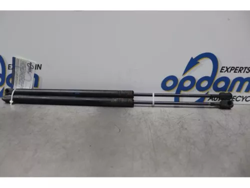 Set Gasdempers Achterklep-7877689