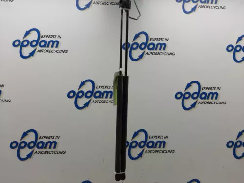 Set Gasdempers Achterklep-7877488