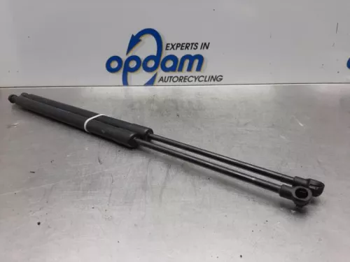 Set Gasdempers Achterklep-7571717