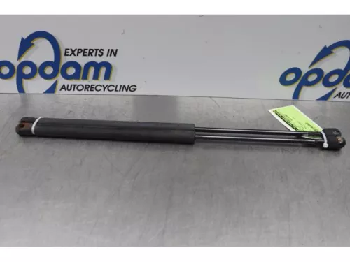 Set Gasdempers Achterklep-7877485