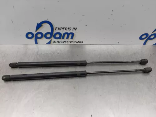 Set Gasdempers Achterklep-7876778