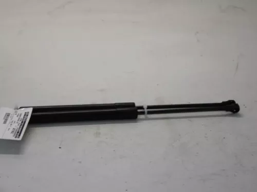 Set Gasdempers Achterklep-7879794