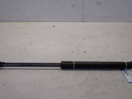 Set Gasdempers Achterklep-7730069