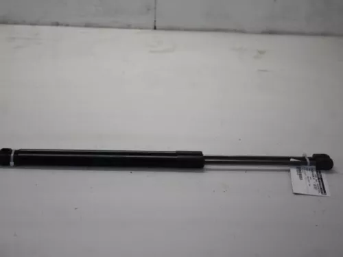 Set Gasdempers Achterklep-7880254