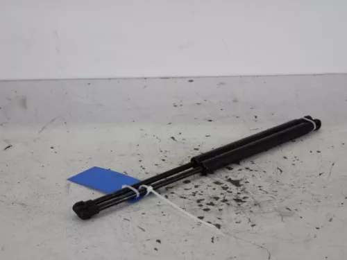 Set Gasdempers Achterklep-7618756