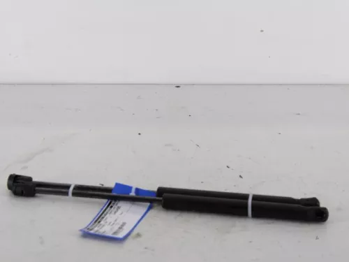 Set Gasdempers Achterklep-7619876