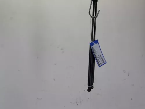 Set Gasdempers Achterklep-7885067