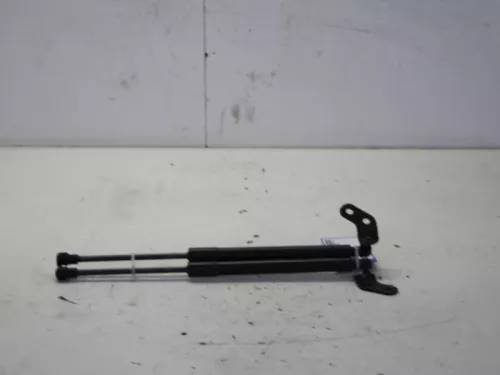 Set Gasdempers Achterklep-7589618