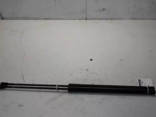 Set Gasdempers Achterklep-7879493