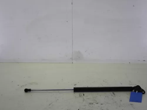 Set Gasdempers Achterklep-7729080