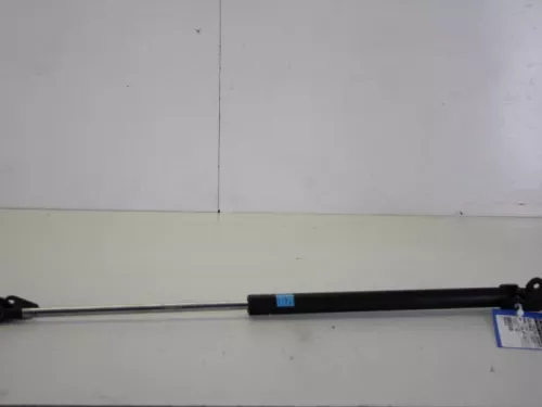 Set Gasdempers Achterklep-7885078