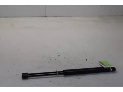 Set Gasdempers Achterklep-7878654