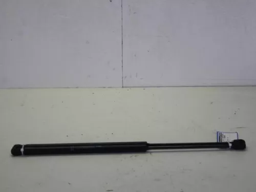 Set Gasdempers Achterklep-7885250