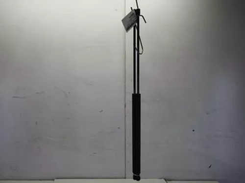 Set Gasdempers Achterklep-7880325