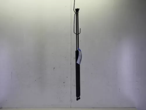 Set Gasdempers Achterklep-7882413