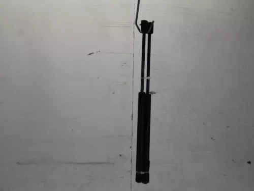 Set Gasdempers Achterklep-7880945