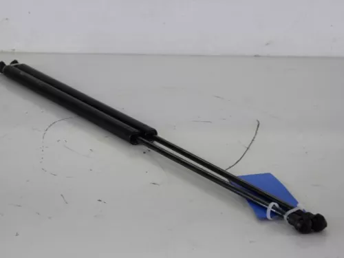 Set Gasdempers Achterklep-7886598