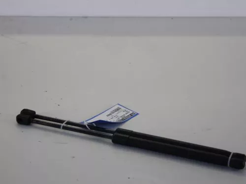 Set Gasdempers Achterklep-7886121