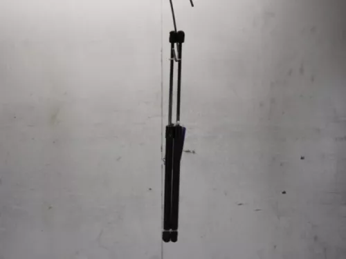 Set Gasdempers Achterklep-7881065