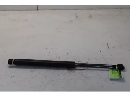 Set Gasdempers Achterklep-7878295