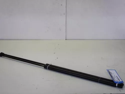 Set Gasdempers Achterklep-7884960