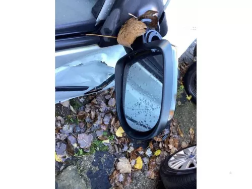 Spiegelglas rechts-7741415