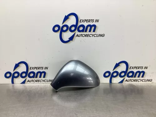 Spiegelkap links-7878325