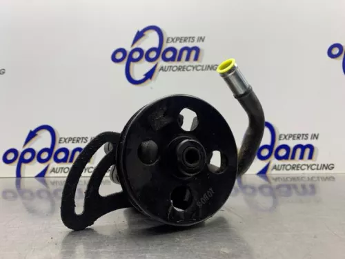 Stuurbekrachtiging Pomp-8277260