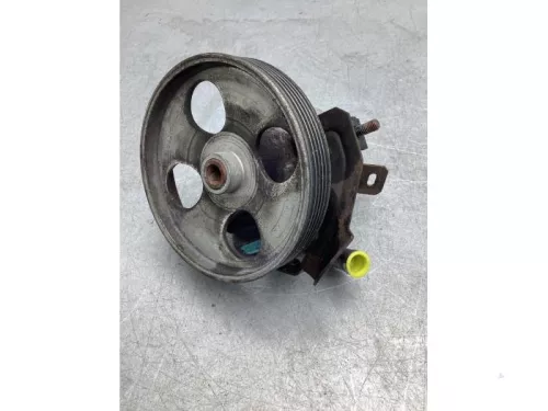 Stuurbekrachtiging Pomp-7992894