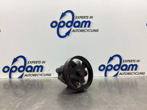 Stuurbekrachtiging Pomp-7842676