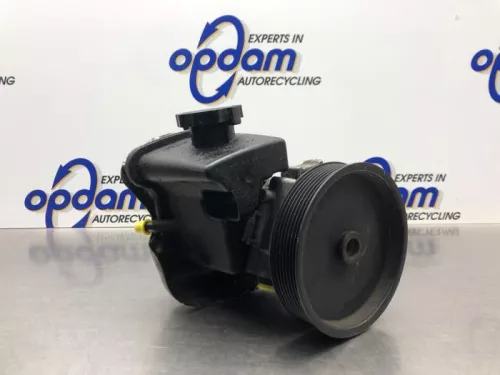 Stuurbekrachtiging Pomp-8245983