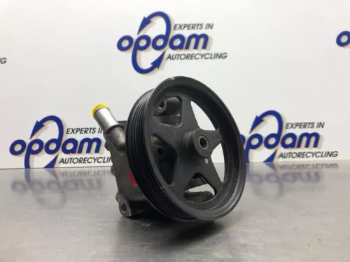 Stuurbekrachtiging Pomp-8158156