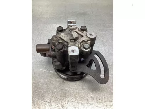 Stuurbekrachtiging Pomp-7993966