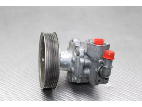 Stuurbekrachtiging Pomp-7878414