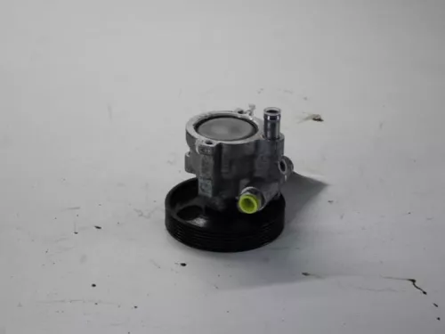 Stuurbekrachtiging Pomp-7879398