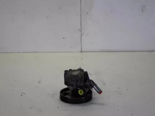 Stuurbekrachtiging Pomp-7884230
