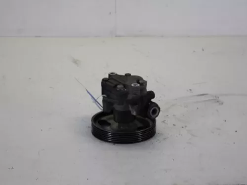 Stuurbekrachtiging Pomp-7884704
