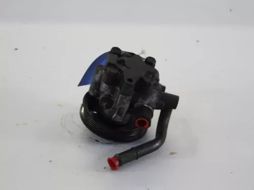 Stuurbekrachtiging Pomp-7890686