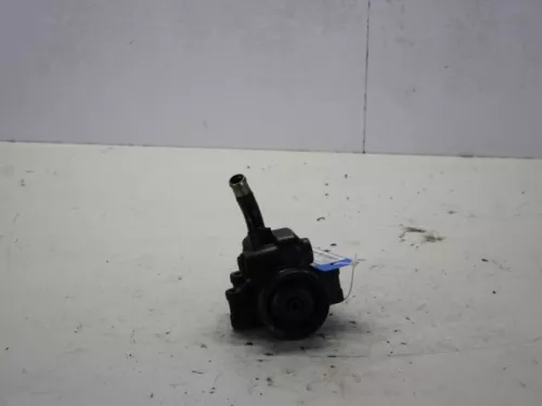 Stuurbekrachtiging Pomp-7881903