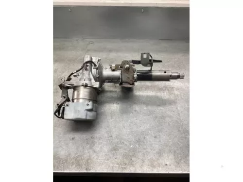 Stuurkolom Huis-8110715