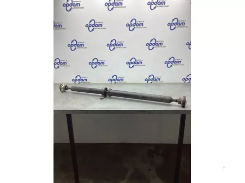 Tussenas-8176975