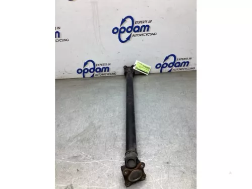 Tussenas-8284463
