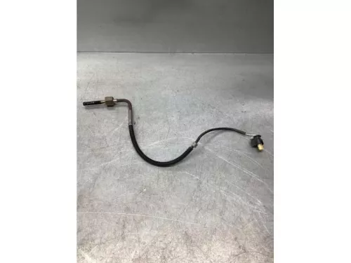 Uitlaat temperatuursensor-7981015