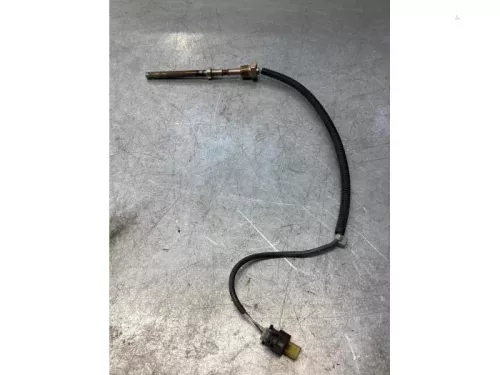 Uitlaat temperatuursensor-7981015