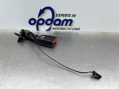 Veiligheidsgordel Insteek links-achter-8246769